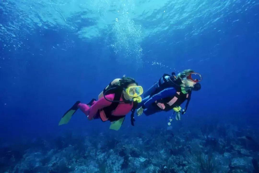 废弃的高楼逃脱2